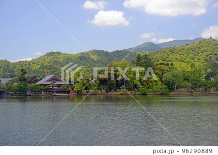 京都大覚寺大沢池風景-1 京都大覚寺大沢池風景-1 96290889