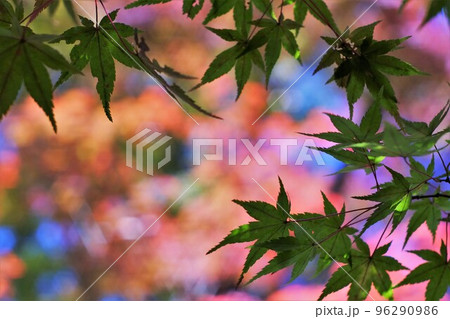 色のある風景 96290986