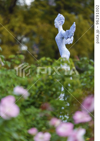薄桃色の薔薇の花　靱公園にて 96291002