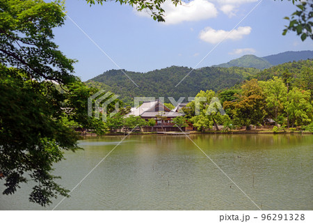 京都大覚寺大沢池風景-5 96291328