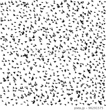 Seamless pattern flying birds. Lots of black starlings. Vector illustration 96291575