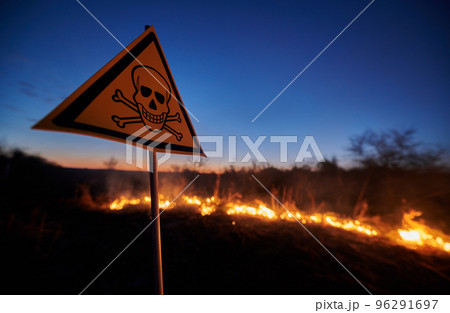 Burning dry grass and poison toxic sign at night. Yellow triangle with skull and crossbones sign warning about poisonous substances and danger in field with fire. Ecology and natural disaster concept. Burning dry grass and poison toxic sign at night. Yellow triangle with skull and crossbones sign warning about poisonous substances and danger in field with fire. Ecology and natural disaster concept. 96291697