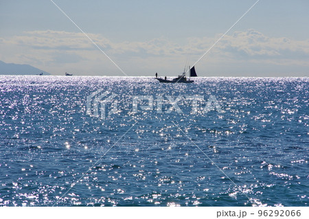 光る海　穏やかな相模湾の風景 96292066