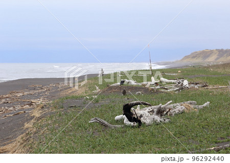 北海道 豊頃 湧洞浜 北海道 豊頃 湧洞浜 96292440