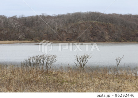 北海道 豊頃 湧洞沼 北海道 豊頃 湧洞沼 96292446