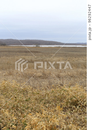 北海道 豊頃 湧洞沼 北海道 豊頃 湧洞沼 96292447