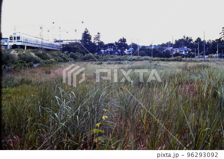 小田急中央林間駅周辺、田園都市線が来る前です・・・1980年9月 96293092