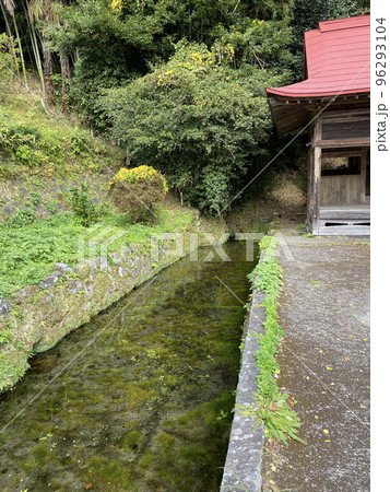久住老野湧水 久住老野湧水 96293104