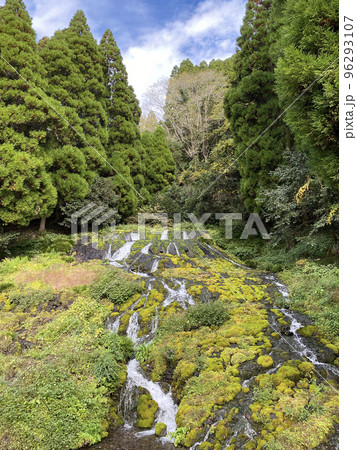 久住老野湧水　湧水の滝 96293107