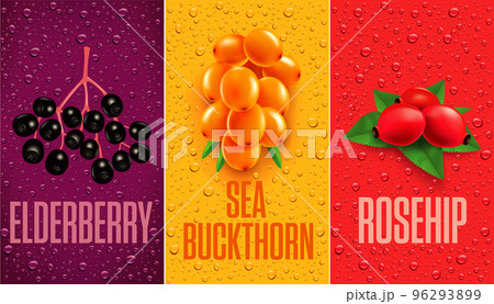 Drinks and juice background with drops and Elderberry, Rose hip, Sea Buckthorn Drinks and juice background with drops and Elderberry, Rose hip, Sea Buckthorn 96293899