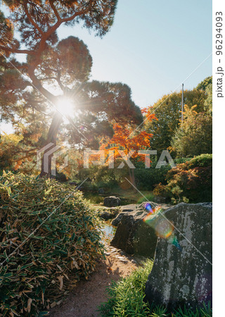 Beautiful Japanese Garden and red trees at autumn seson. A burst of fall color with pond reflections. 96294093