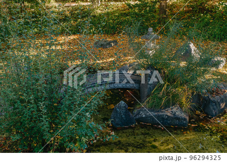 Beautiful Japanese Garden and red trees at autumn seson. A burst of fall color with pond reflections. 96294325