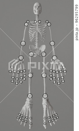 Joint manikin for determining painful swollen joints - 3D rendering Joint manikin for determining painful swollen joints - 3D rendering 96295799