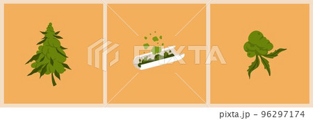 Hand drawn vector abstract graphic clip art illustration of Medical Marijuana, smoking accessories.Smoking weed cartoon.Cannabis and weed legalization concept design art.Trendy vector illustration. Hand drawn vector abstract graphic clip art illustration of Medical Marijuana, smoking accessories.Smoking weed cartoon.Cannabis and weed legalization concept design art.Trendy vector illustration. 96297174
