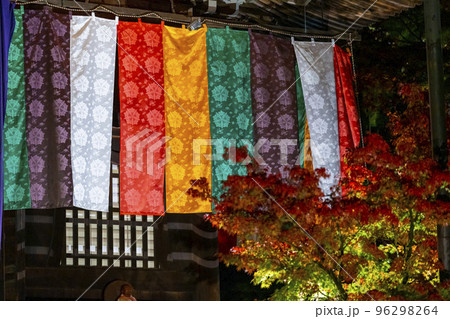 秋の禅林寺 (永観堂)の紅葉　阿弥陀堂　ライトアップ　京都市左京区 96298264