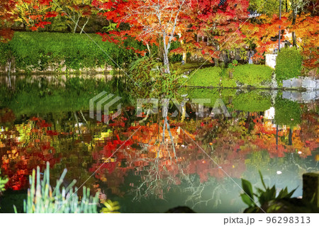 秋の禅林寺 (永観堂)の紅葉　放生池と水鏡　ライトアップ　京都市左京区 96298313