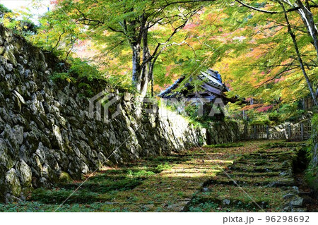 湖東三山のひとつ 「百済寺」の紅葉 96298692