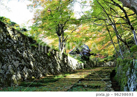 湖東三山のひとつ 「百済寺」の紅葉 96298693