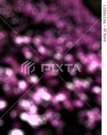 ピンク PINK 花 フラワー フローラル なでしこ ピンク PINK 花 フラワー フローラル なでしこ 96298821
