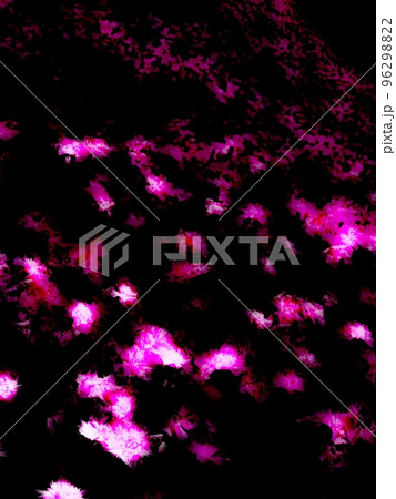 ピンク　PINK　花　フラワー　フローラル　なでしこ 96298822
