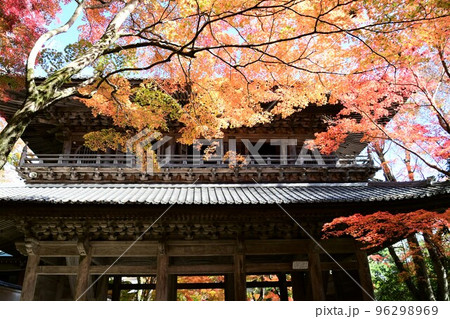 滋賀 永源寺の燃えるような紅葉 96298969
