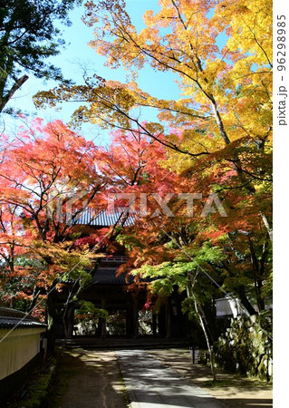 滋賀 永源寺の燃えるような紅葉 96298985