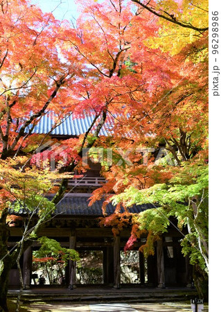 滋賀 永源寺の燃えるような紅葉 滋賀 永源寺の燃えるような紅葉 96298986