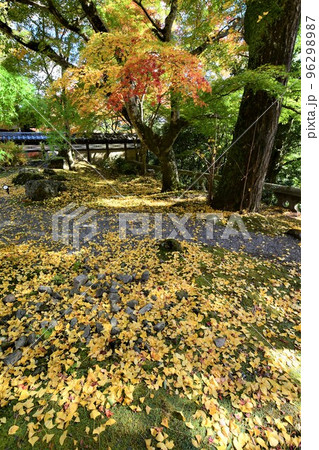 滋賀 永源寺の燃えるような紅葉 滋賀 永源寺の燃えるような紅葉 96298987