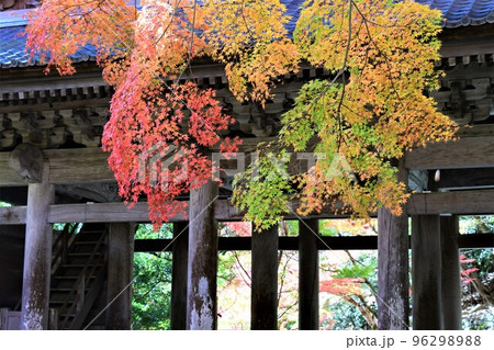 滋賀 永源寺の燃えるような紅葉 滋賀 永源寺の燃えるような紅葉 96298988