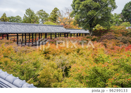 秋の東福寺 紅葉と通天橋 京都府京都市 秋の東福寺 紅葉と通天橋 京都府京都市 96299133