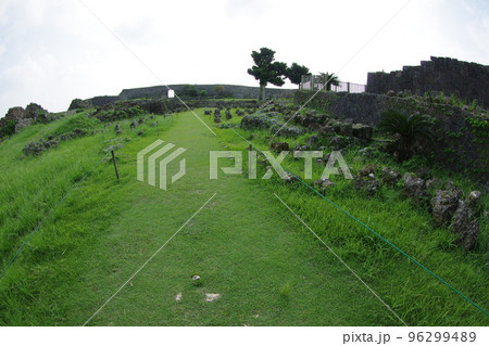 中城城 緑の絨毯 96299489