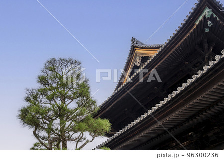 秋の東福寺　京都府京都市 96300236