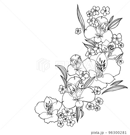 黒花フレームのイラスト素材 [96300281] - PIXTA