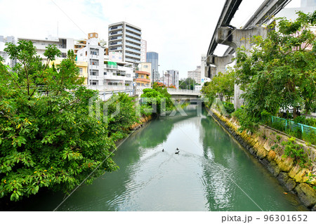 仲良橋/久茂地川より牧志長虹橋方向を望む(沖縄県那覇市)【2022.11】 仲良橋/久茂地川より牧志長虹橋方向を望む(沖縄県那覇市)【2022.11】 96301652
