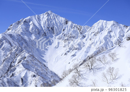 雪の鹿島槍ヶ岳　雪山登山 96301825