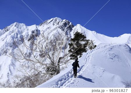 白銀の五竜岳　雪山登山 96301827