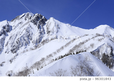 白銀の五竜岳　雪山登山 96301843