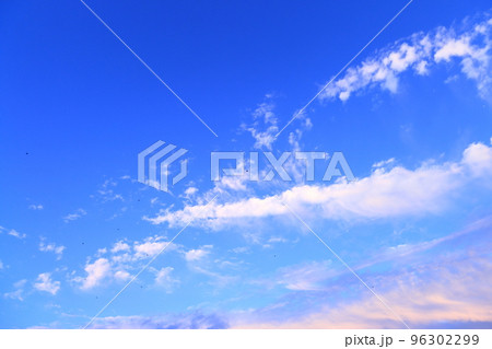 綺麗な空と鳥の群れ 綺麗な空と鳥の群れ 96302299