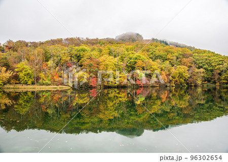 《長野県》紅葉の志賀高原丸池リフレクション 96302654