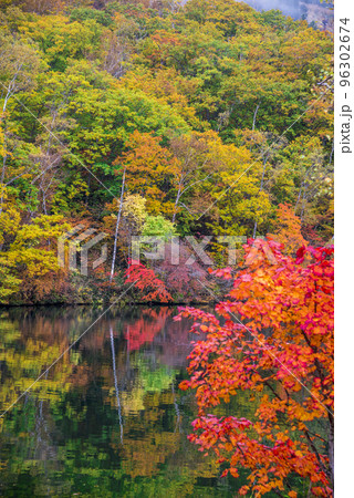 《長野県》紅葉の志賀高原丸池リフレクション 《長野県》紅葉の志賀高原丸池リフレクション 96302674