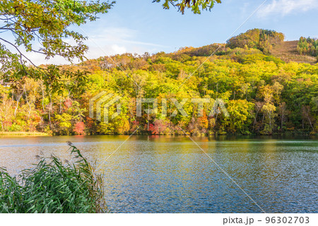 《長野県》紅葉の志賀高原丸池 《長野県》紅葉の志賀高原丸池 96302703