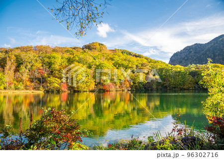 《長野県》紅葉の志賀高原丸池 《長野県》紅葉の志賀高原丸池 96302716