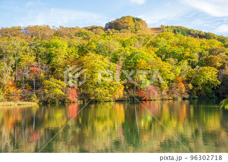 《長野県》紅葉の志賀高原丸池 《長野県》紅葉の志賀高原丸池 96302718