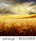 Wheat field and sky with clouds. Countryside summer background in gold colors. Grain and nature. Healthy food poster. 96303069