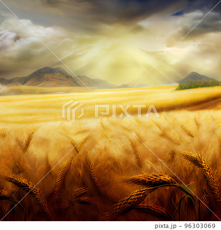 Wheat field and sky with clouds. Countryside summer background in gold colors. Grain and nature. Healthy food poster. 96303069