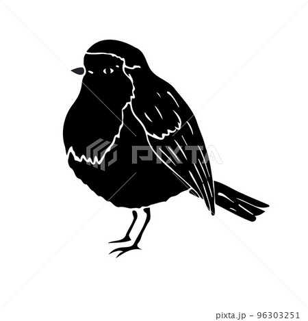 Vector hand drawn robin redbreast bird 96303251