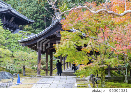 秋の東福寺 紅葉と通天橋 京都府京都市 秋の東福寺 紅葉と通天橋 京都府京都市 96303381