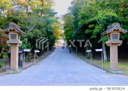下り参道・出雲大社（島根県・出雲市） 96303624