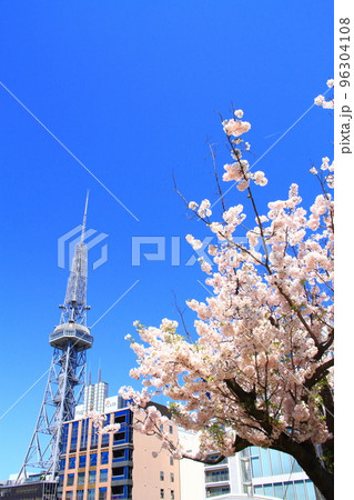 春の名古屋市、テレビ塔と桜の風景 春の名古屋市、テレビ塔と桜の風景 96304108