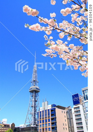 春の名古屋市、テレビ塔と桜の風景 春の名古屋市、テレビ塔と桜の風景 96304109
